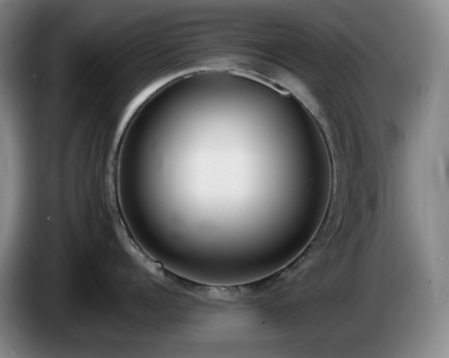 X0000085000960200703121458