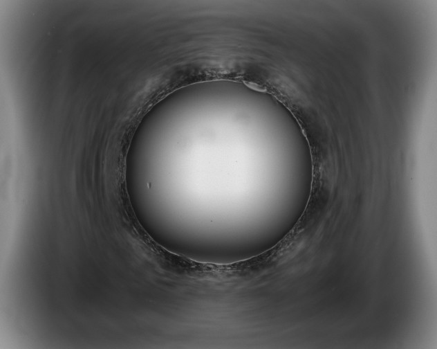 X0000085000961200703121457