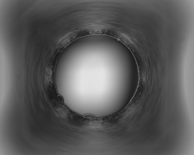 X0000085000964200703121457