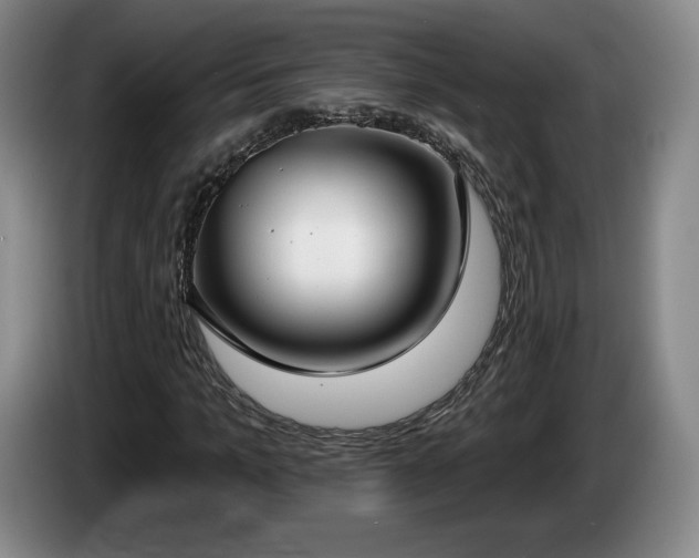 X0000085000965200703121457