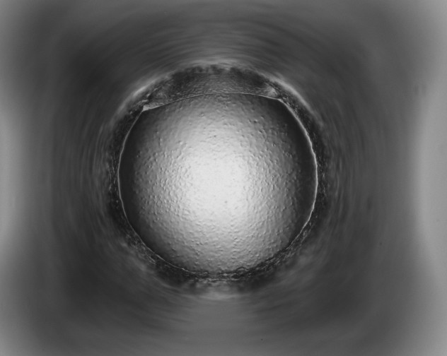 X0000085000967200703121457