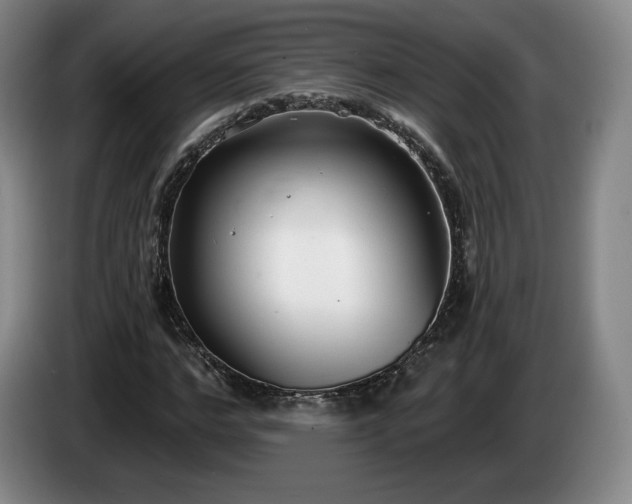 X0000085000968200703121457