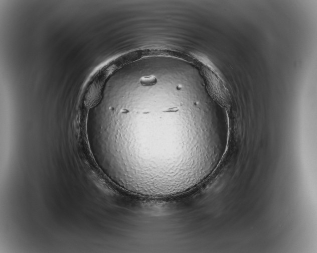 X0000085000971200703121457