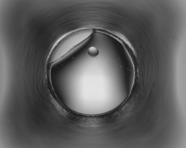 X0000085000972200703121457