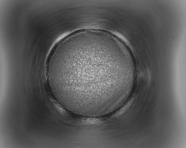 X0000085000974200703121457