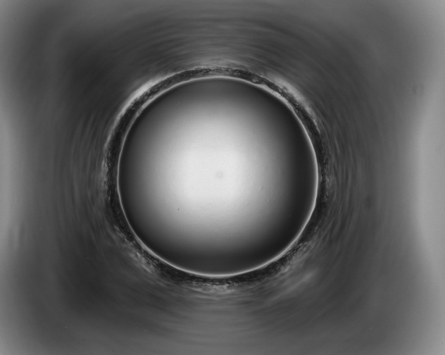 X0000085000975200703121457