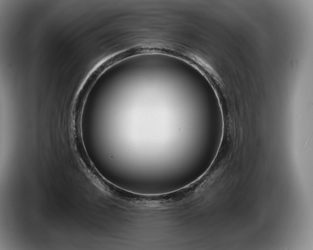 X0000085000976200703121457