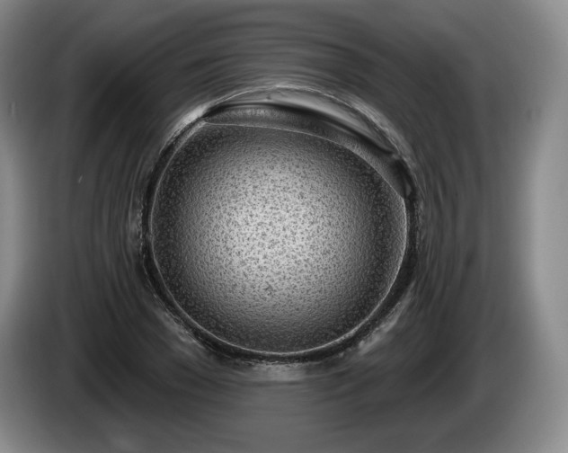 X0000085000977200703121457