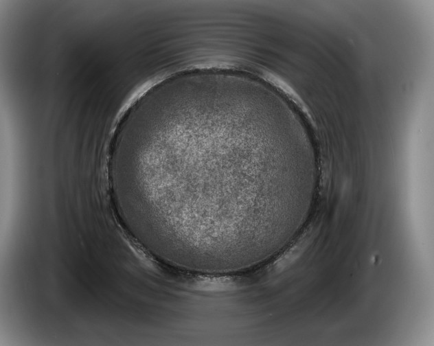 X0000085000978200703121457