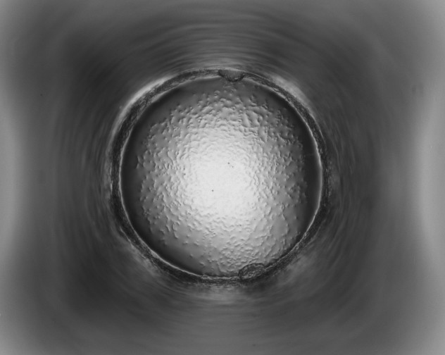 X0000085000979200703121457