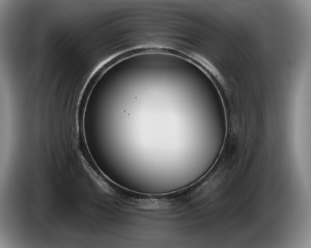 X0000085000980200703121457