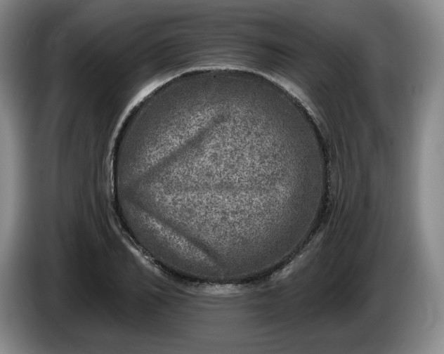 X0000085000982200703121457