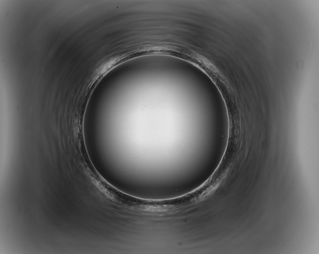 X0000085000985200703121457