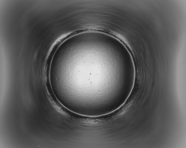 X0000085000987200703121457