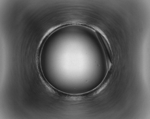 X0000085000989200703121457