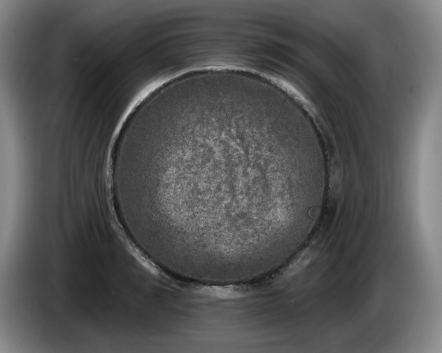 X0000085000990200703121457