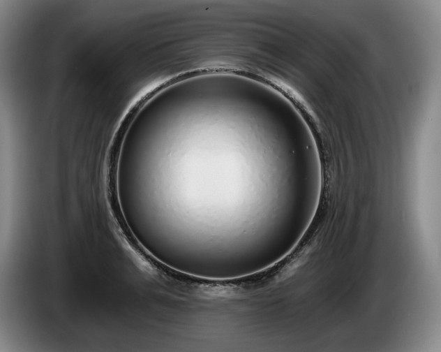 X0000085000991200703121457