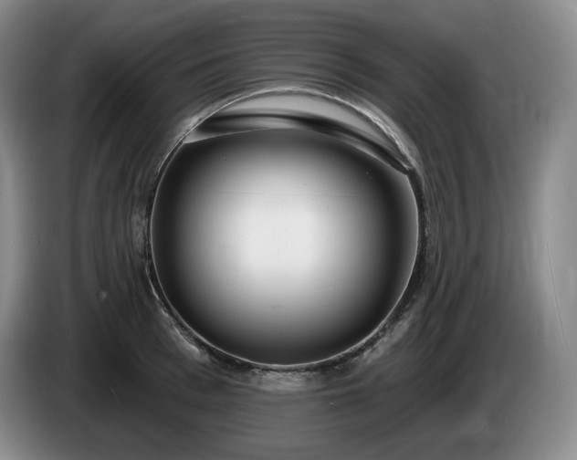 X0000085000993200703121456