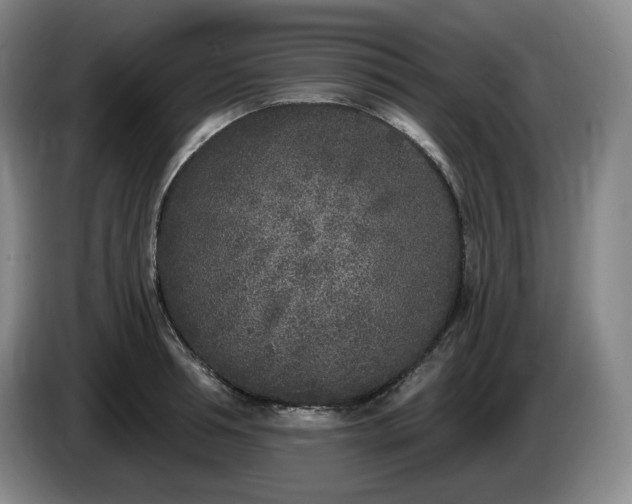 X0000085000994200703121456