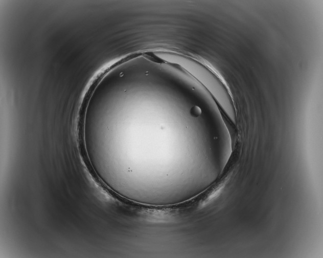 X0000085000995200703121456