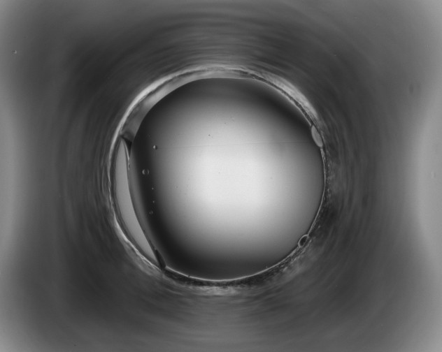 X0000085000996200703121456