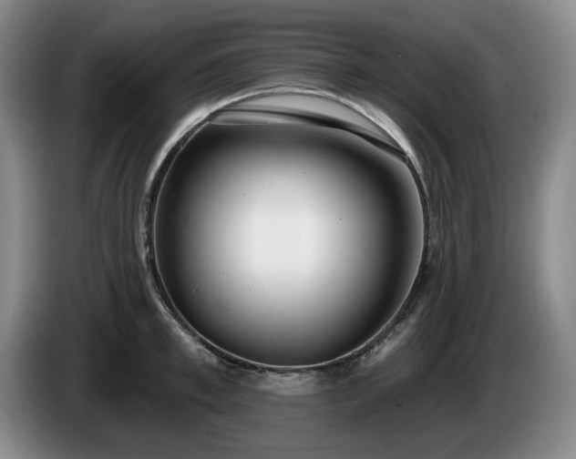 X0000085000997200703121456