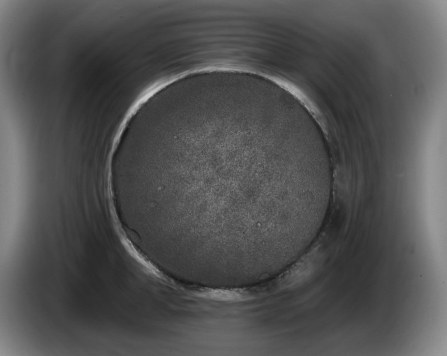 X0000085000998200703121456