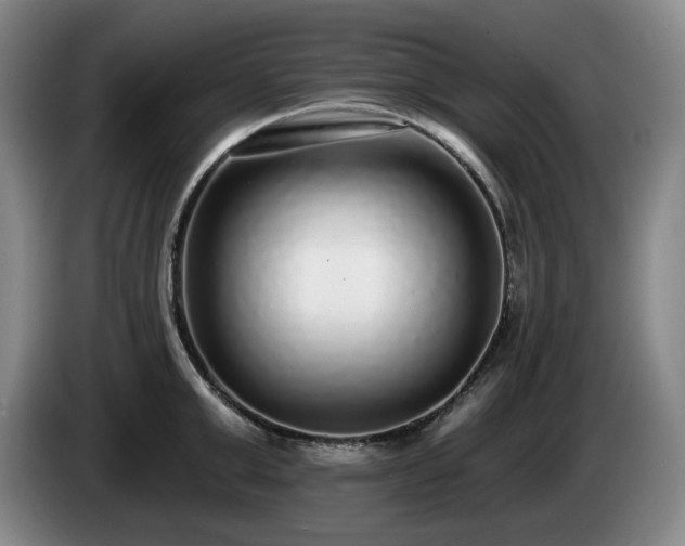 X0000085000999200703121456