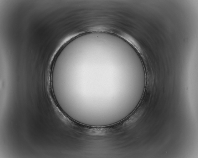 X0000085001000200703121456