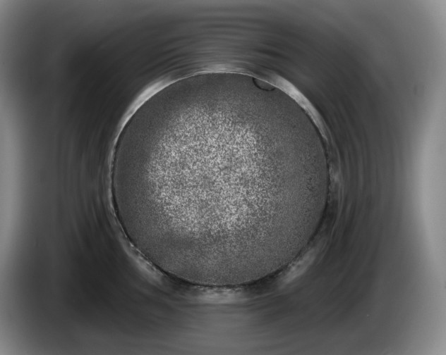 X0000085001002200703121456