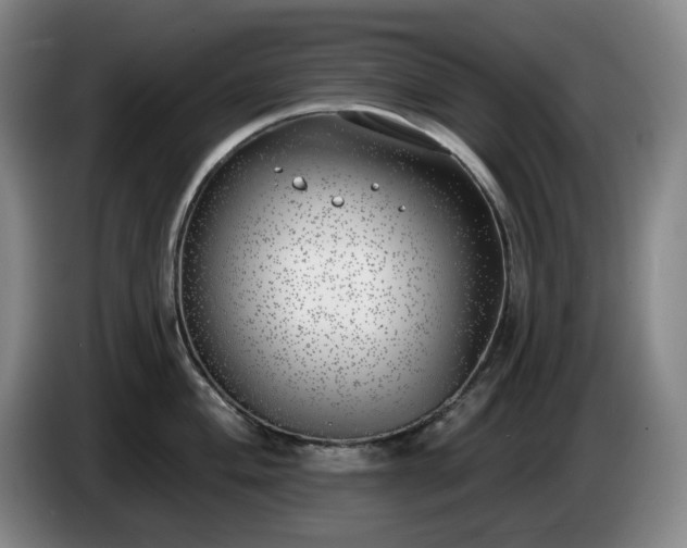 X0000085001004200703121456