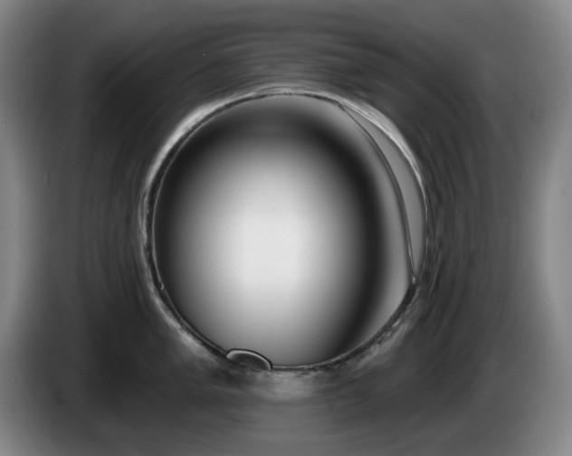 X0000085001005200703121456