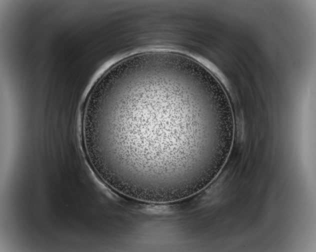 X0000085001006200703121456