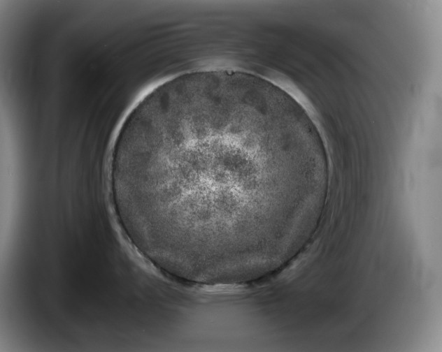 X0000085001008200703121456