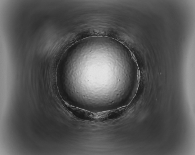 X0000085001009200703121456