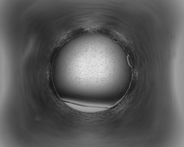 X0000085001012200703121456