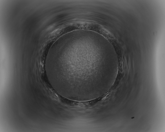 X0000085001013200703121456