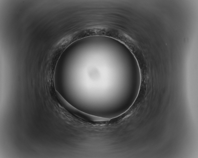 X0000085001014200703121456