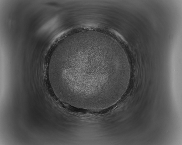 X0000085001016200703121456