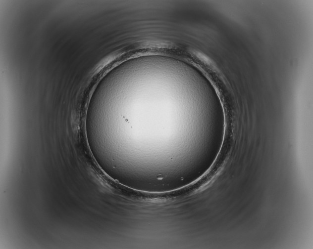 X0000085001017200703121456