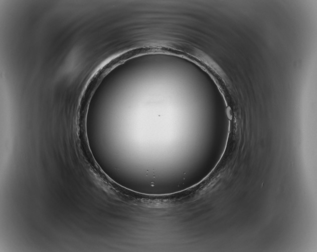 X0000085001020200703121456