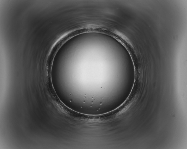 X0000085001021200703121456