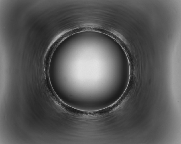 X0000085001022200703121456