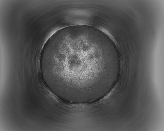 X0000085001023200703121456