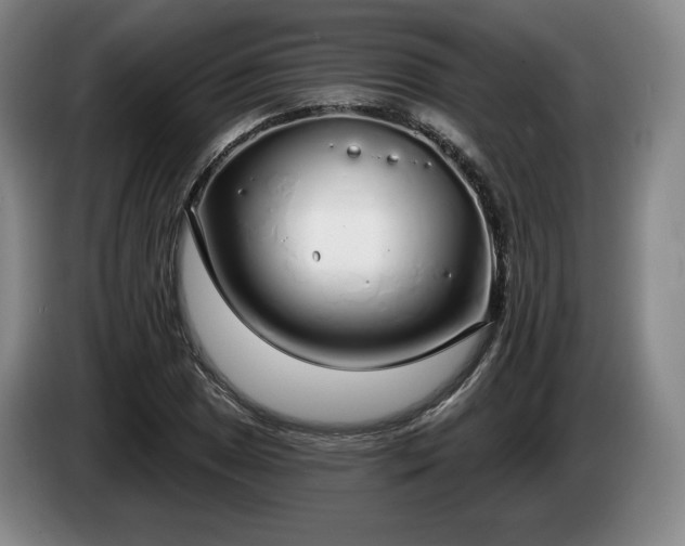 X0000085001025200703121456