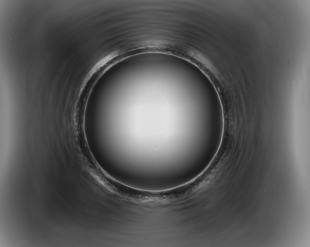 X0000085001026200703121456