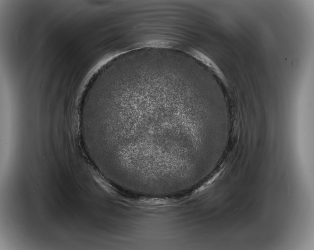 X0000085001027200703121456