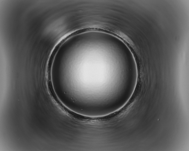 X0000085001028200703121456