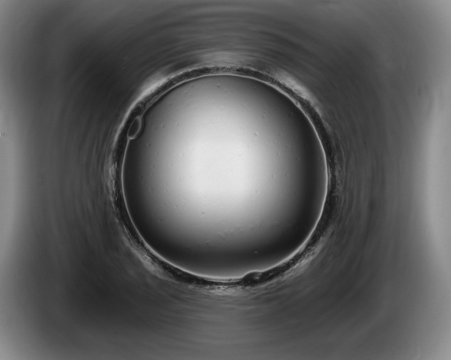 X0000085001029200703121456