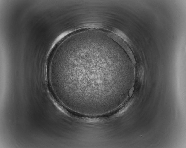 X0000085001030200703121456